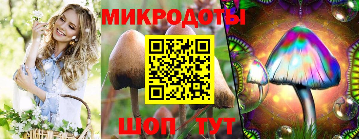 Псилоцибиновые грибы прущие грибы  Вход с VPN  Ейск 