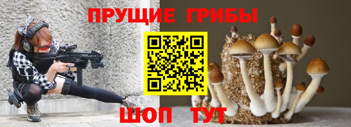 Псилоцибиновые грибы мухоморы Ейск